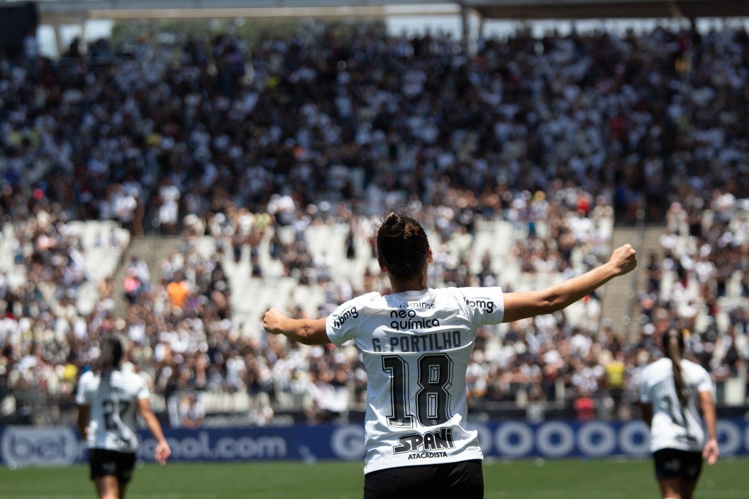 Botafogo empata com o Santos e completa oitavo jogo seguido sem vencer - O  Progresso